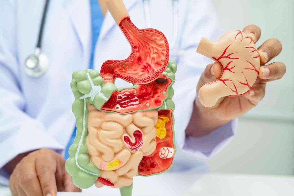 How Gut Health Is Connected to Mental Wellness in 2026