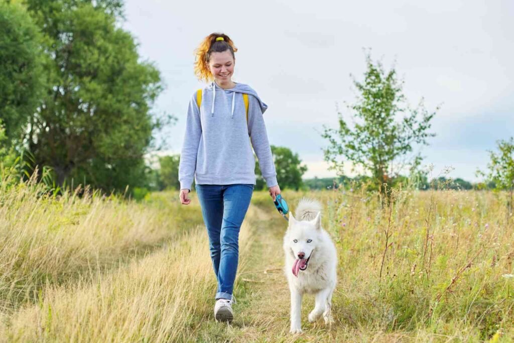 The Importance of Daily Walking for Long-Term Health Benefits walking